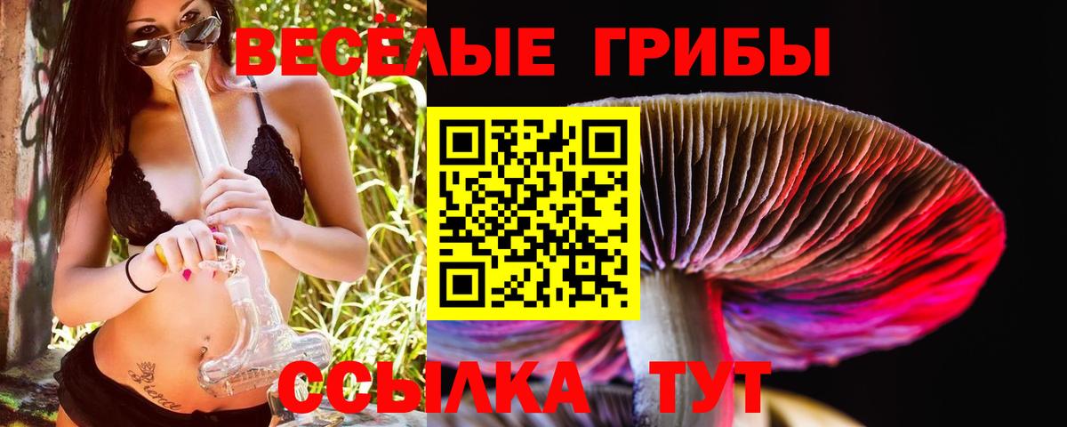 Галлюциногенные грибы MAGIC MUSHROOMS  Вход с VPN  Кировск  Псилоцибиновые грибы Cubensis 